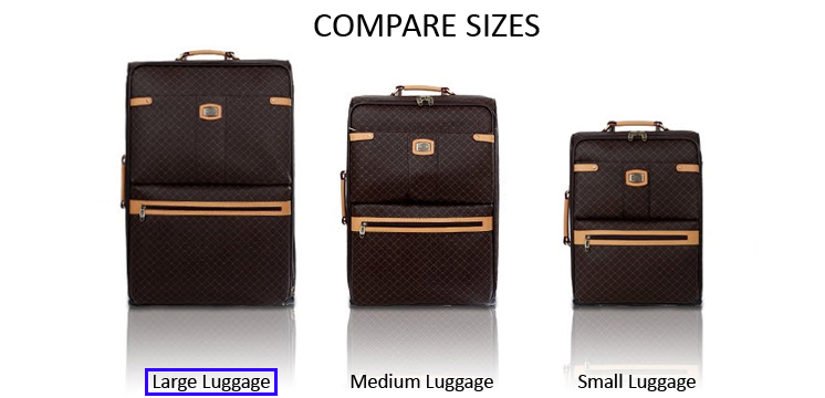 RIONI Signature Brown Large Luggage ST-20121L ...